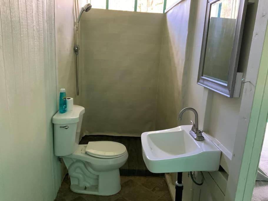 Simple Rustic Studio Deluxe Bed In Tropical Fruits Garden Ξενοδοχείο Mountain View Εξωτερικό φωτογραφία
